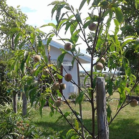 Stuga I Gamla-Koepstad Traslovslage Екстер'єр фото